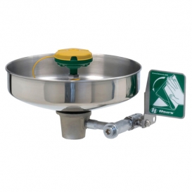 Axion MSR Eye-Face Wash Head, Unmounted