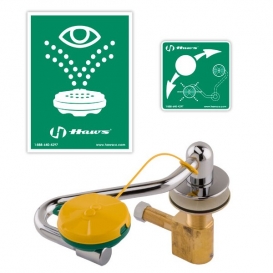 Single Action Swing-Away Eye-Face Wash with AXION MSR Eye-Face Wash Head