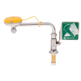 Swing-Away Eyewash with AXION MSR Stainless Steel Eye-Face Wash Head