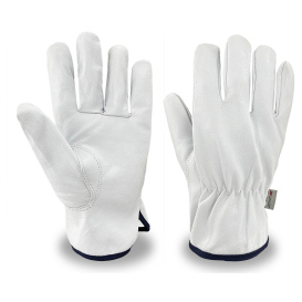 C2V X-Freeze 4802G Premium Grain Goatskin Leather Driver Gloves - Thermal Lined