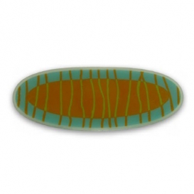 Citrus Bongo Glass Boat