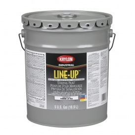 Krylon K42130110 20