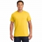 Gildan 8000 DryBlend T-Shirt - Daisy