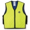 ERGO-6665-Lime