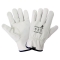 Global Glove AC3200 Cut and Aramid Fiber Needle Resistant Gloves