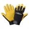 Global Glove SG2008 Gripster Sport Premium Goatskin Impact Resistant Gloves