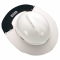 MSA 10039114 Sun Shield for V-Gard 500 Cap Style Hard Hats