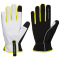 Portwest A776 PW3 Winter Glove - Black/Yellow