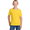 SM-363Y-IslandYllw Island Yellow