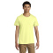 SM-570M-CelryJuice - A