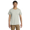 SM-570M-Limestone - A