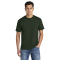 SM-75000-ForestGrn - A