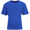 SM-A4N3531-Royal Royal