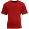 SM-A4N3531-Scarlet Scarlet