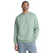 SM-DT6154-DustySage - A