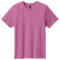 SM-PC43Y-AwrnsPink - A