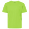 SS-48000Y-Lime Lime