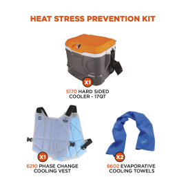 Ergodyne Chill-Its 6671 Heat Stress Prevention Kit