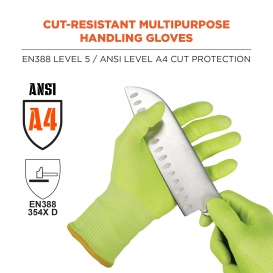 Ergodyne ProFlex 7040 Cut Resistant Food Grade Gloves