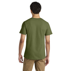 SM-570M-OliveOil
