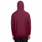 AB-TT96-Sp-Dark-Maroon - B