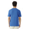 SM-3000-Royal - B