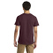 SM-570M-Maroon - B