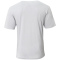 SM-A4N3013-Silver - B