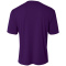 SM-A4N3142-Purple - B