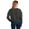 SM-DT1105-Charcoal - B