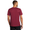 SM-DV7299-TeamMaroon - B
