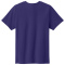 SM-PC43Y-TeamPurple - B