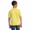 SM-PC450Y-Yellow - B