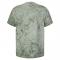 SS-1745-Fern - B