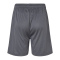 SS-4146-Graphite - B
