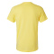 SS-602CVC-Hth-Yellow - B