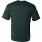 SS-C2S-5100-Forest - B