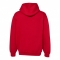 SS-C2S-5500-Red - B