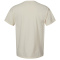 SS-GDH100-Parchment - B