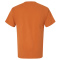 SS-GDH100-Texas-Orange - B