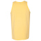 SS-GDH300-Summer-Squash-Yellow - B