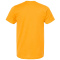 SS-TLTX-202-Gold - B