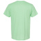 SS-TLTX-202-Heather-Neo-Mint - B