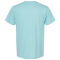 SS-TLTX-202-Heather-Purist-Blue - B