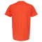 SS-TLTX-202-Orange - B