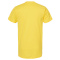 SS-TLTX-202-Sunshine - B