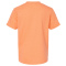 SS-TLTX-235-Heather-Cantaloupe - B