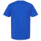 SS-TLTX-290-Royal - B