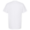 SS-TLTX-293-White - B