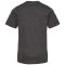 SS-TLTX-295-Heather-Charcoal - B